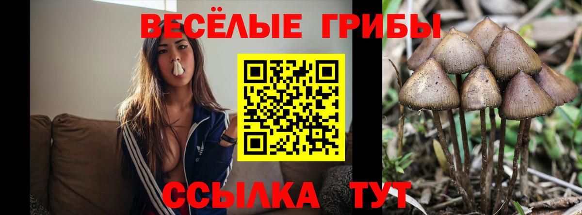 Галлюциногенные грибы GOLDEN TEACHER Новокузнецк